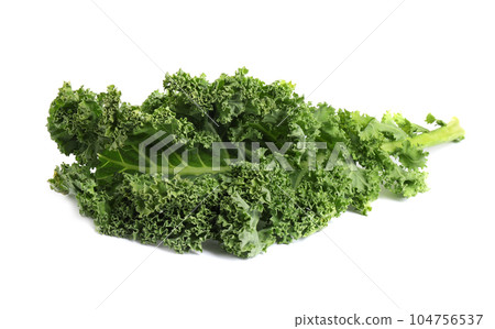 Fresh green kale leaf isolated on white Fresh green kale leaf isolated on white 104756537