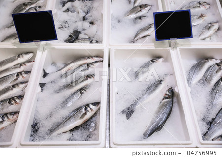 Fresh fish on display with ice at wholesale market 104756995