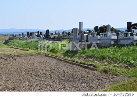 稻田裡的墓地 104757599