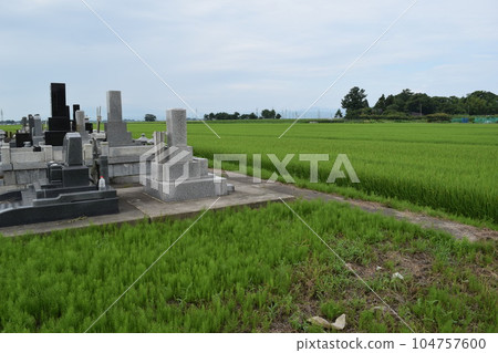 稻田裡的墓地 104757600