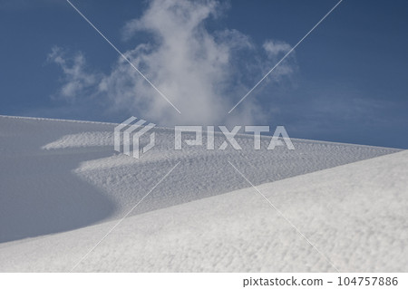 鳥取沙丘的雪景 鳥取沙丘的雪景 104757886