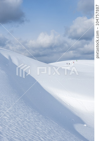 鳥取沙丘的雪景 鳥取沙丘的雪景 104757887