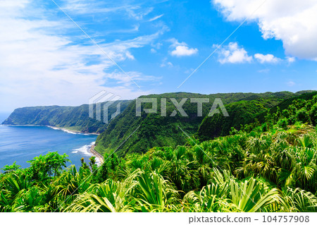 The view from the observatory in Nagoya 104757908