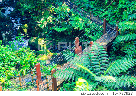 Scenery of the trekking course to Uramigataki Falls 104757928