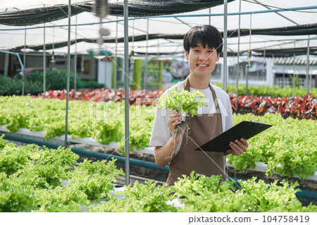 Farmer checking plant health in greenhouse system and harvesting. Farmer inspect farm products quality and fresh vegetables in greenhouse hydroponics farm with happy Farmer checking plant health in greenhouse system and harvesting. Farmer inspect farm products quality and fresh vegetables in greenhouse hydroponics farm with happy 104758419