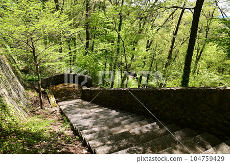 宮澤賢治紀念館及周邊設施被綠意環繞 104759429