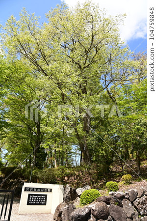 宮澤賢治紀念館及周邊設施被綠意環繞 104759848