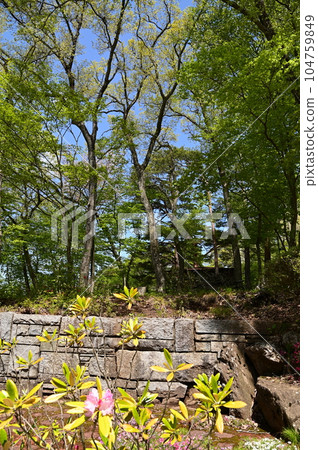 Kenji Miyazawa Memorial Museum and surrounding facilities surrounded by fresh greenery Kenji Miyazawa Memorial Museum and surrounding facilities surrounded by fresh greenery 104759849