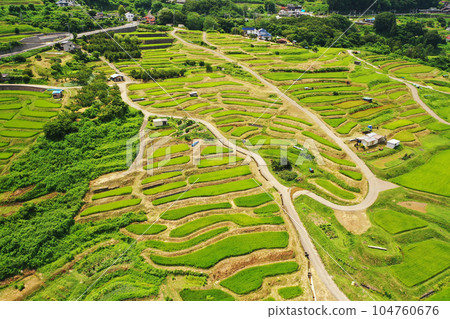  被遺棄的水稻梯田 104760676
