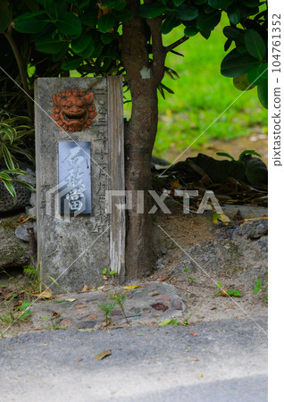 Okinawa Bise Fukugi Namiki 104761352