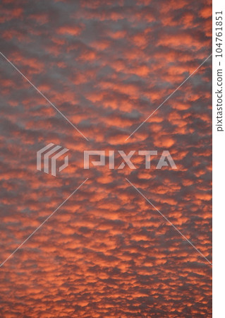 A divine sunset that appeared in the sky of Nakanojo, Sakaki-cho, Hanishina-gun, Nagano Prefecture A divine sunset that appeared in the sky of Nakanojo, Sakaki-cho, Hanishina-gun, Nagano Prefecture 104761851