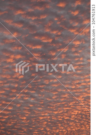 A divine sunset that appeared in the sky of Nakanojo, Sakaki-cho, Hanishina-gun, Nagano Prefecture A divine sunset that appeared in the sky of Nakanojo, Sakaki-cho, Hanishina-gun, Nagano Prefecture 104761913