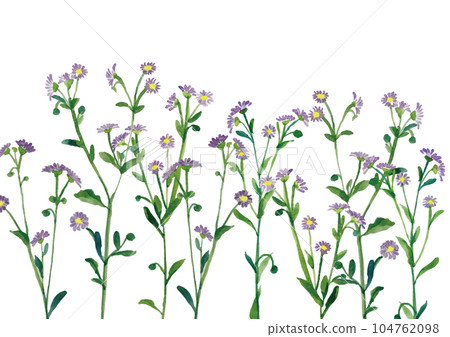 lovely watercolor flowers lovely watercolor flowers 104762098