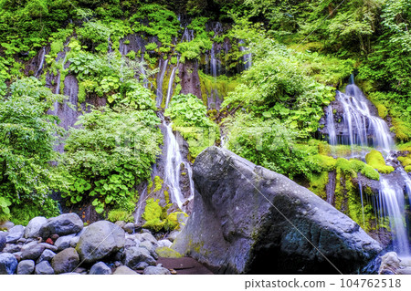 Fresh green forest and waterfall Fresh green forest and waterfall 104762518