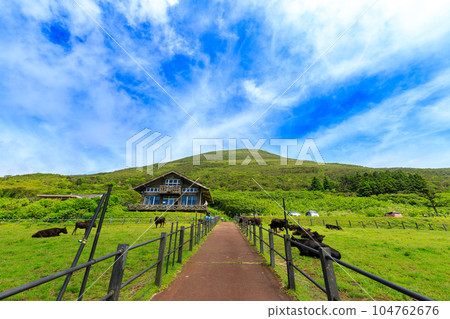 八丈富士和親密牧場的風景 八丈富士和親密牧場的風景 104762676