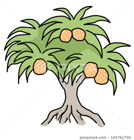 Illustration of a simple Pandanus tree Illustration of a simple Pandanus tree 104762780