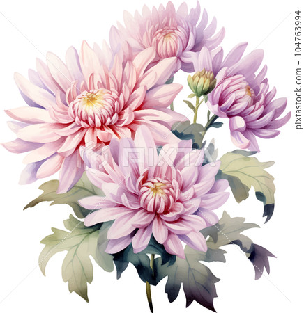 botanical, nature, flower, floral, watercolor, white, chrysanthemum, background, vintage, flora, bloom, illustration, blossom, leaf, set, decoration, isolated, plant, design, art, card, summer, botanical, nature, flower, floral, watercolor, white, chrysanthemum, background, vintage, flora, bloom, illustration, blossom, leaf, set, decoration, isolated, plant, design, art, card, summer, 104763994