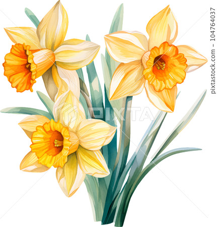 watercolor, illustration, flower, spring, summer, floral, blossom, garden, plant, background, botanical, nature, isolated, design, white, green, decoration, vintage, art, bouquet, flora, leaf, bloom, 104764037