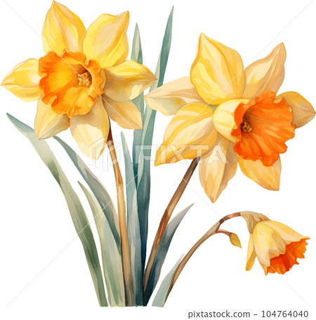 watercolor, illustration, flower, spring, summer, floral, blossom, garden, plant, background, botanical, nature, isolated, design, white, green, decoration, vintage, art, bouquet, flora, leaf, bloom, 104764040