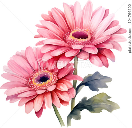 watercolor, daisy, gerbera, flower, illustration, floral, nature, isolated, white, summer, background, botanical, plant, drawing, blossom, garden, bouquet, flora, art, beautiful, green, spring, bloom, watercolor, daisy, gerbera, flower, illustration, floral, nature, isolated, white, summer, background, botanical, plant, drawing, blossom, garden, bouquet, flora, art, beautiful, green, spring, bloom, 104764200