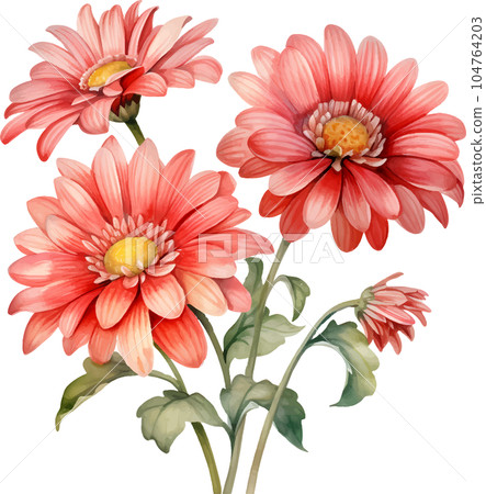 watercolor, daisy, gerbera, flower, illustration, floral, nature, isolated, white, summer, background, botanical, plant, drawing, blossom, garden, bouquet, flora, art, beautiful, green, spring, bloom, watercolor, daisy, gerbera, flower, illustration, floral, nature, isolated, white, summer, background, botanical, plant, drawing, blossom, garden, bouquet, flora, art, beautiful, green, spring, bloom, 104764203