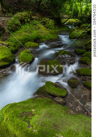Image of Kawachi Valley in early summer Image of Kawachi Valley in early summer 104764310