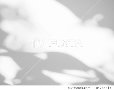 Shadow Spring on Wall Background,Abstract Overlay Shady Soft Exterior Leaves Tree,Nature Overlay from Window Building,Texture vintage Sun Light Plant Leaf Summer on Floor Grey Paint Room Cement. 104764413