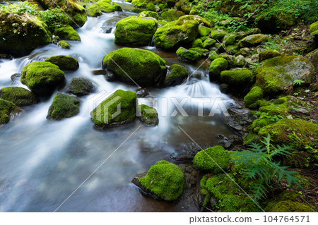 Clear stream of Kawachi Valley flowing between moss-covered rocks Clear stream of Kawachi Valley flowing between moss-covered rocks 104764571