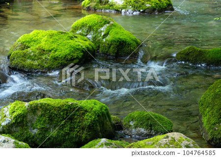 河內溪谷清澈的溪流在苔蘚覆蓋的岩石之間流淌 104764585