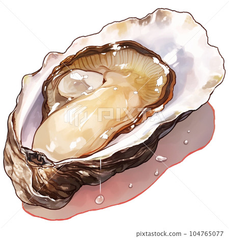Oyster 104765077