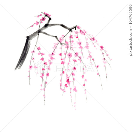 水墨畫垂梅 水墨畫垂梅 104765596