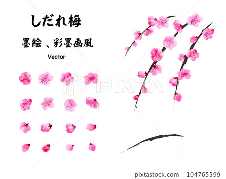 垂梅水墨畫矢量插圖集 104765599