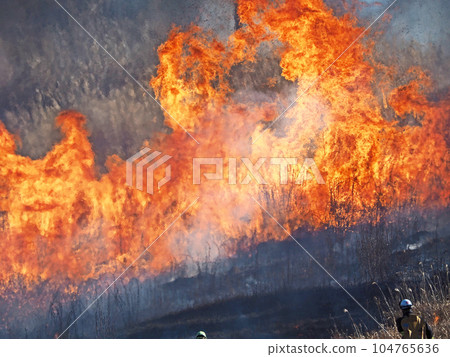 北九州喀斯特高原平尾台 露天焚燒的景象預示著春天的到來 北九州喀斯特高原平尾台 露天焚燒的景象預示著春天的到來 104765636