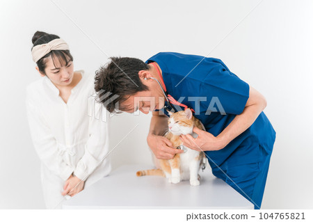 A cat being examined by a veterinarian at an animal hospital and her owner's Asian woman (pet, stethoscope) 104765821