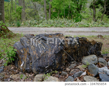 Iwate Goshono Ruins - World Heritage Sites of the Jomon Period 104765854