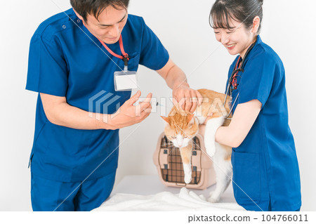 給貓注射疫苗和注射的獸醫 104766011
