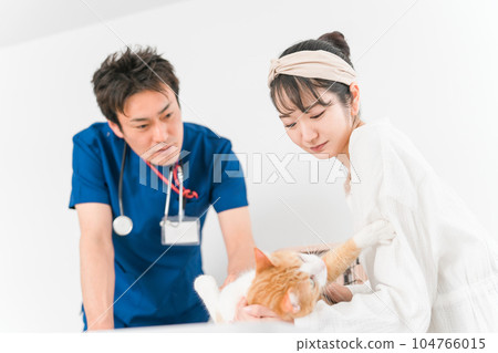 A cat being examined by a veterinarian at an animal hospital and the owner's Asian woman (pet) 104766015