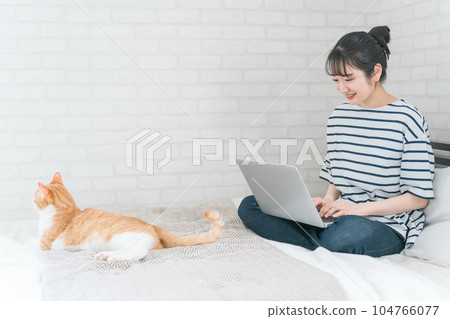 一個遠程辦公和在家裡養貓在電腦上遠程工作的女人(動物治療,遠程辦公,遠程辦公) 一個遠程辦公和在家裡養貓在電腦上遠程工作的女人(動物治療,遠程辦公,遠程辦公) 104766077