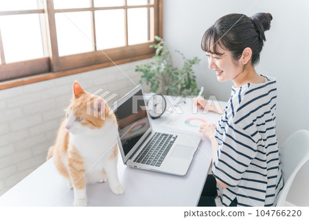 Women who work with cats and pets at home (work from home, telework, remote work, nekohara) Women who work with cats and pets at home (work from home, telework, remote work, nekohara) 104766220