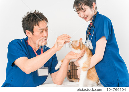 A cat being examined by a veterinarian at an animal hospital and the owner's Asian woman (pet) 104766504