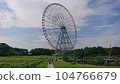 Kasai Rinkai公園的摩天輪 104766679