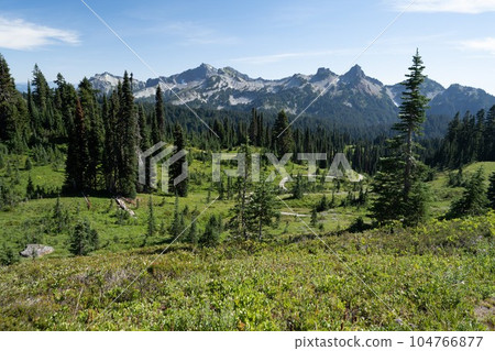 Nisqually Glacier, Washington, USA Nisqually Glacier, Washington, USA 104766877
