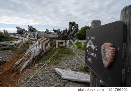 里亞託海灘 104766901