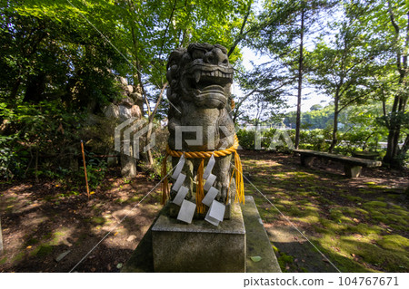 Komainu, or lion-dog, with shimenawa rope and shide, Kanazawa, Japan. 104767671