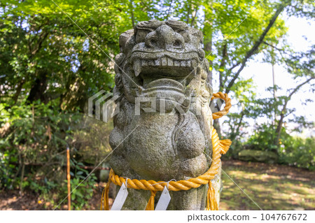 Komainu, or lion-dog, with shimenawa rope and shide, Kanazawa, Japan. 104767672