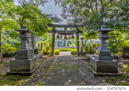 Tougoro jinja shrine in early morning sun, Japan. 104767674