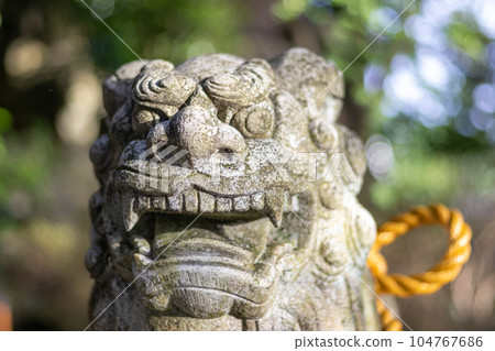 Komainu, or lion-dog, with shimenawa rope, Kanazawa, Japan. Komainu, or lion-dog, with shimenawa rope, Kanazawa, Japan. 104767686
