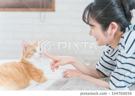 Asian woman touching her pet cat's nose in her bedroom at home (animal therapy skinship) 104768056