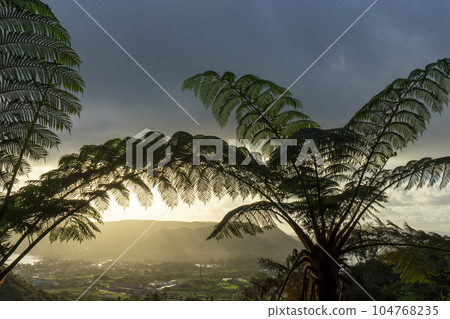 Amami color 104768235