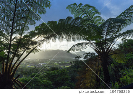 Amami color 104768236